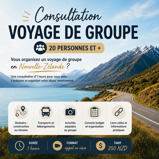 Consultation de voyage - Groupe de plus de 20 personnes
