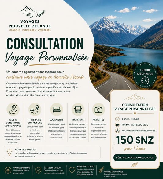 Consultation Voyage Personnalisée