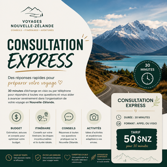 Consultation de voyage Express
